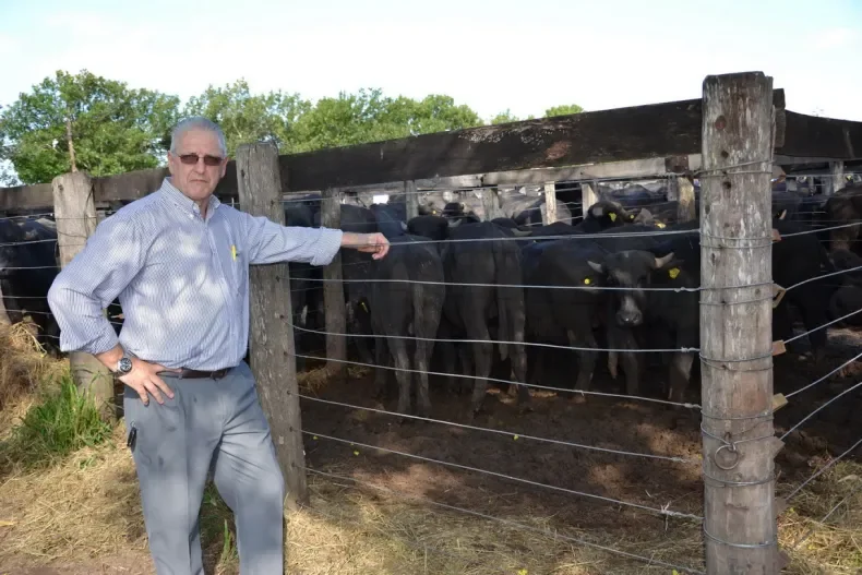 El búfalo duplica la rentabilidad del bovino en campos marginales, según especialista argentino