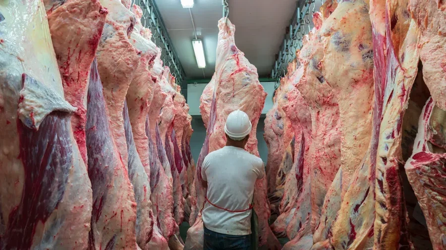 Fuerte valorización de la carne vacuna brasileña: el valor por tonelada alcanza máximos en casi cuatro años