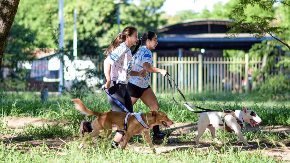 Huellitas Run: carrera solidaria para financiar refugio en San Antonio