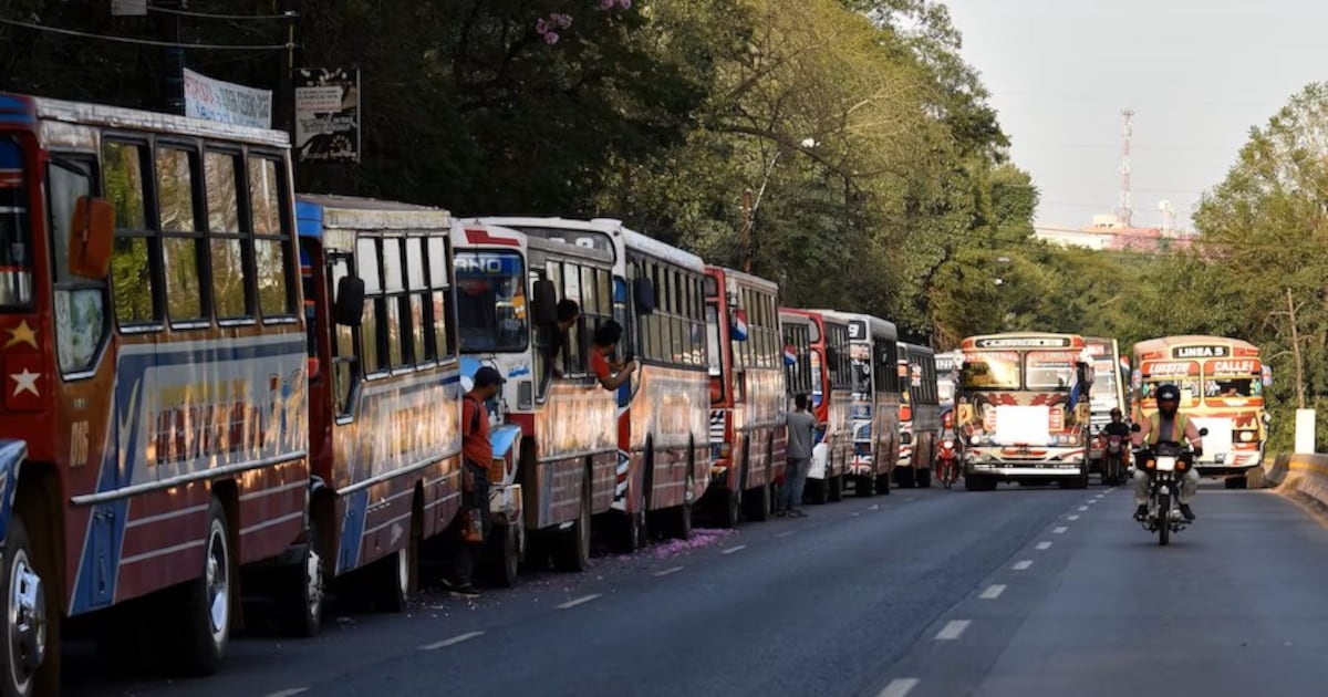 Anuncian primera licitación de renovación de transporte para junio