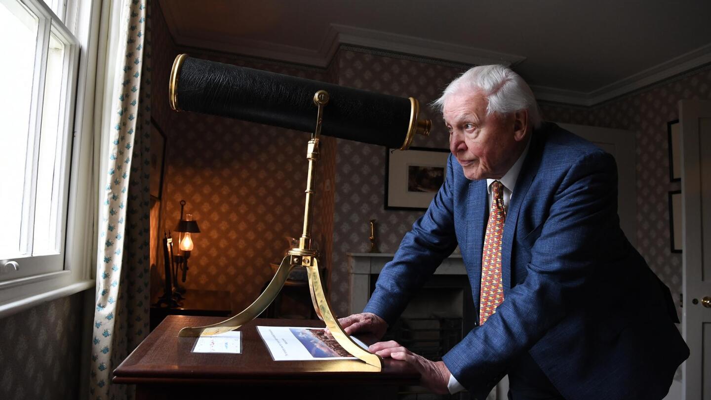 David Attenborough celebra su centenario como ícono mundial de la divulgación de la naturaleza