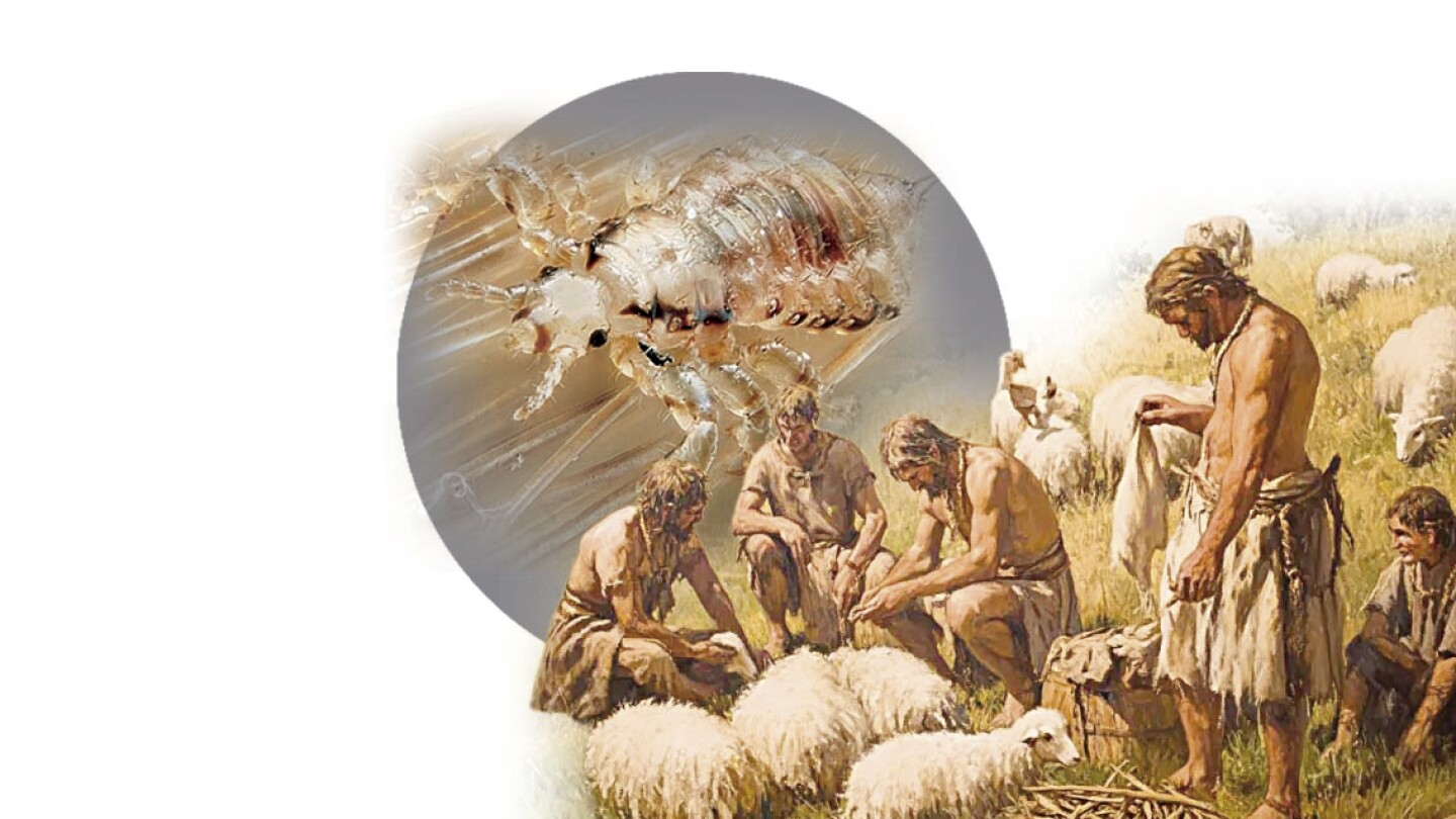 El Neolítico Origen de las enfermedades que saltan de animales a personas
