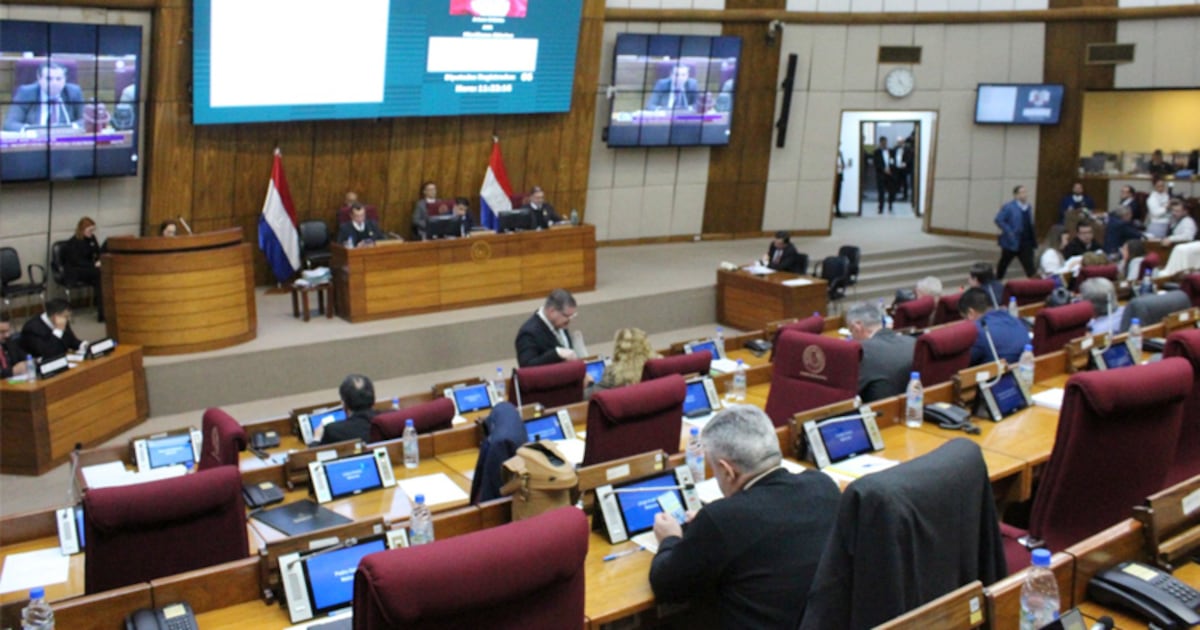 Diputados aprueba declaración de emergencia en el IPS