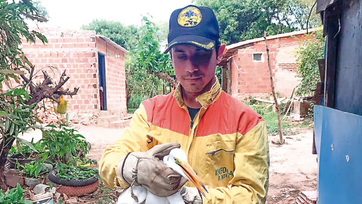 Bomberos impulsan campaña para ambulancia de rescate animal