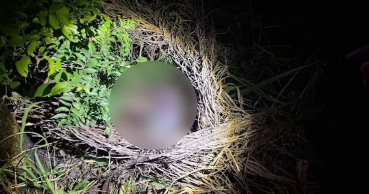 Encuentran cadáver de una mujer en zona de malezales de Villeta