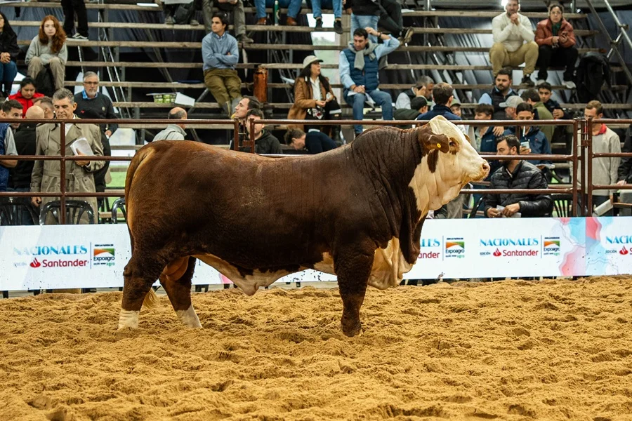 Con más de 2.000 animales y cobertura especial de Valor Agro, comienzan las Nacionales Ganaderas en Corrientes