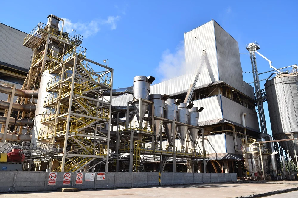 La molienda de soja creció 9% y la agroindustria local sigue con un ritmo favorable