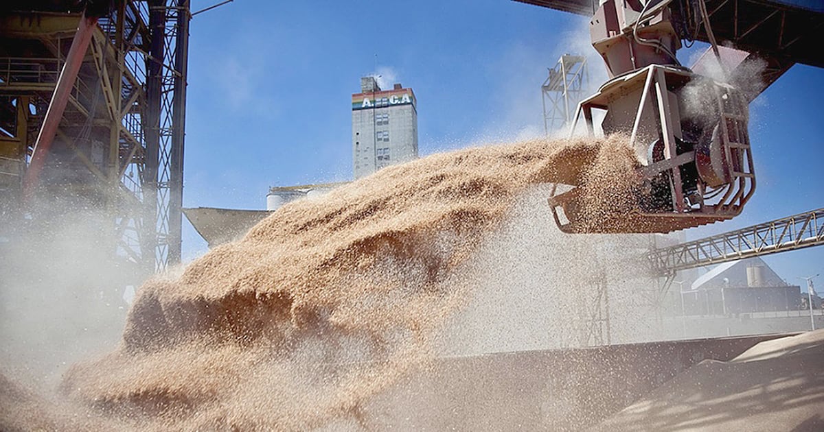 Molienda de soja crece 9 % en el primer cuatrimestre