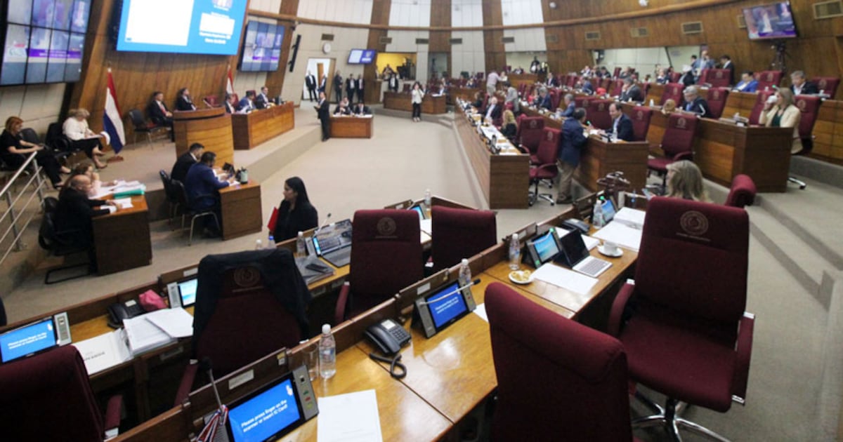 Cámara de Diputados solicita informes sobre mercados municipales en Central