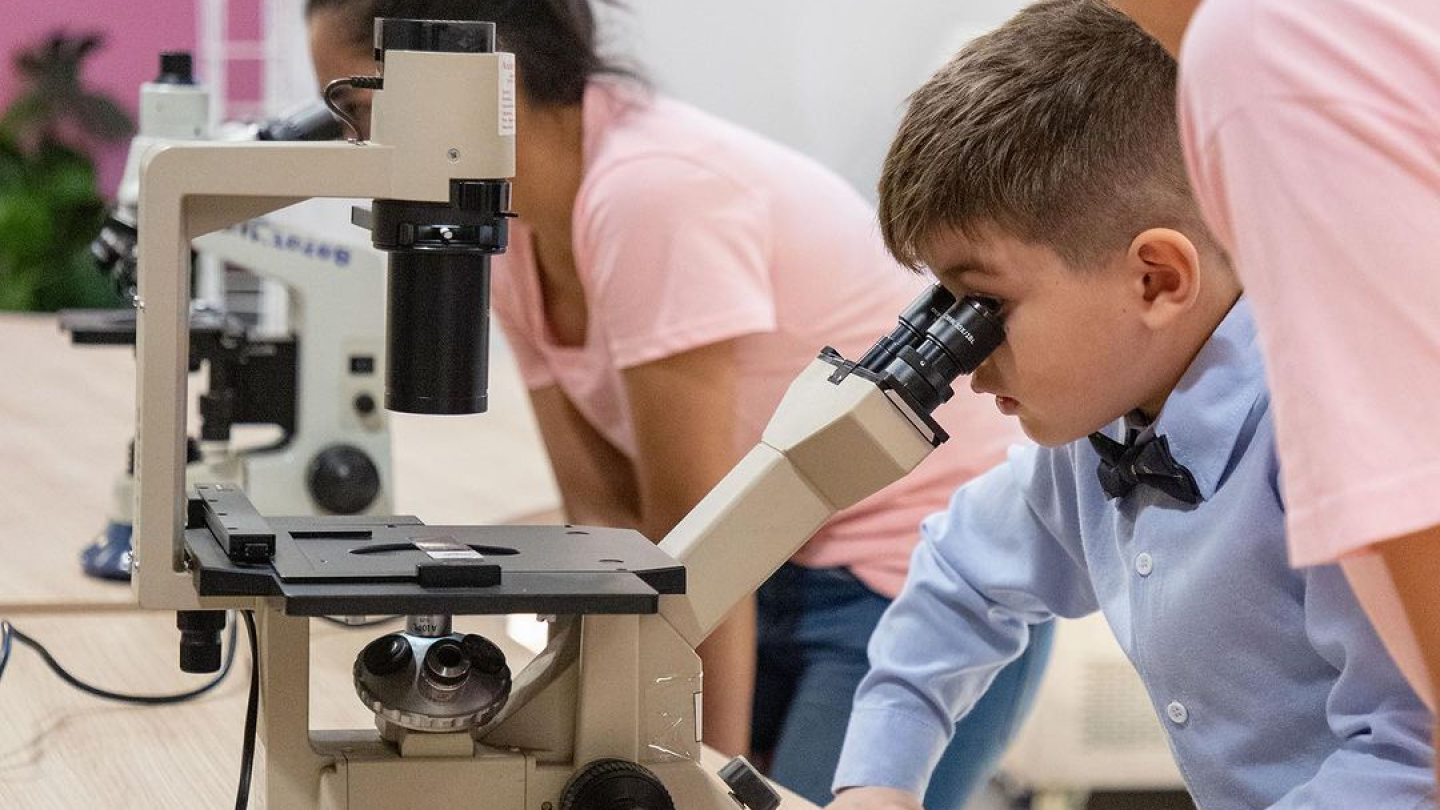 Ciencia del Sur presenta propuestas para fortalecer la calidad de programas doctorales en Paraguay