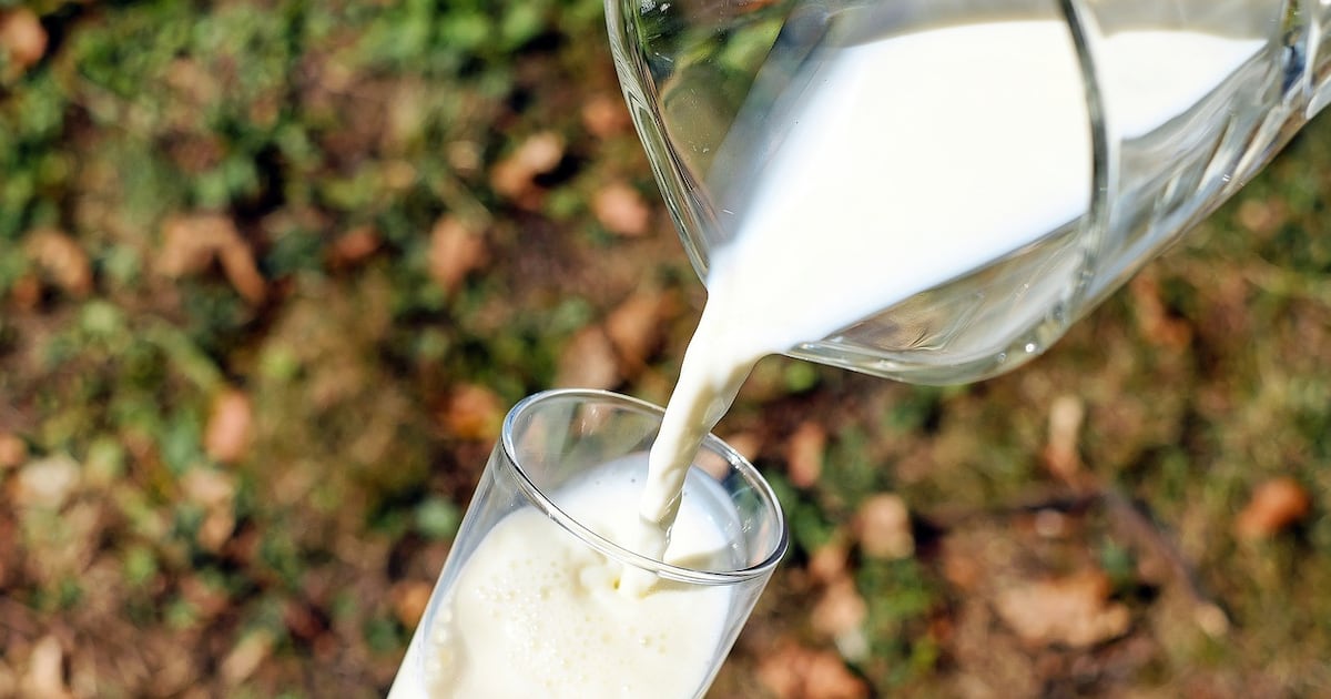 Día Mundial de la Leche: oportunidades de inversión y modernización en Paraguay