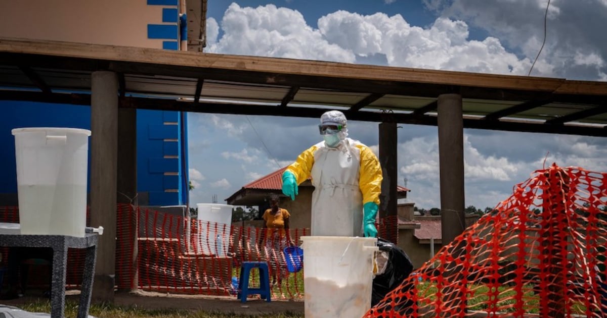 OMS reporta casi 500 casos confirmados de ébola en África Central