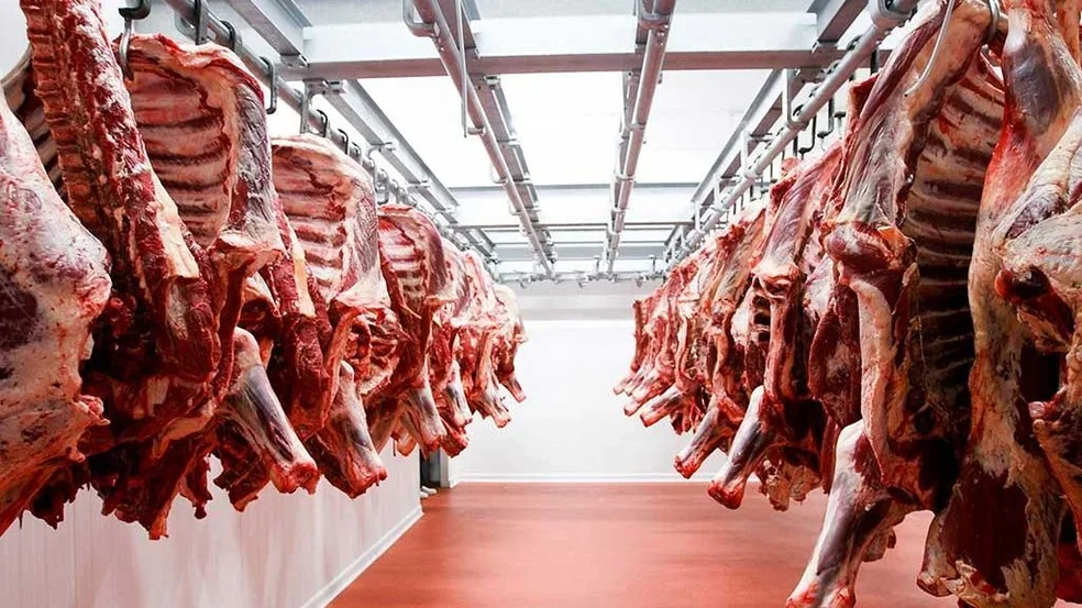 Argentina: indústria frigorífica alerta pela falta de gado e reclama medidas para recuperar competitividade