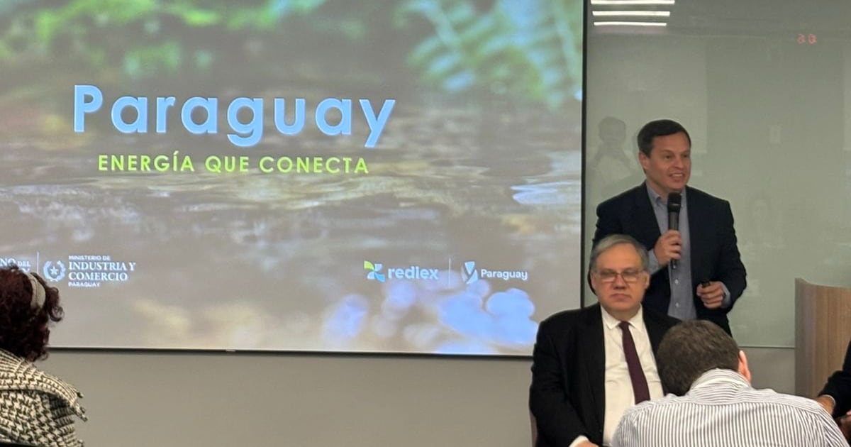 Paraguai se posiciona como destino de investimentos ante instituição executiva brasileira