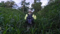Descobrem sofisticada rede urbana de 3.000 anos na Amazônia equatoriana