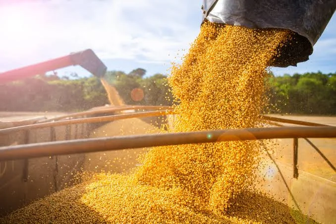 Reposición, Expo Paraguay y mercados del gordo y granos